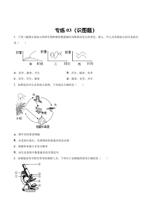 题型03(识图题)-(人教版)(原卷版)