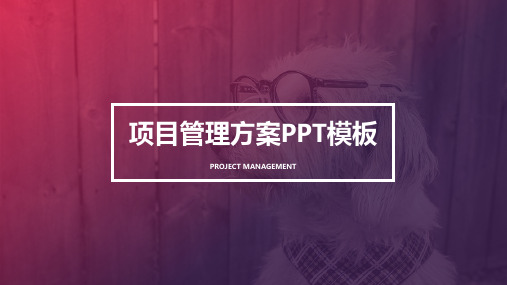 项目管理方案PPT(完整版)