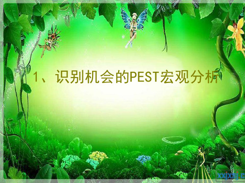 PEST行业分析