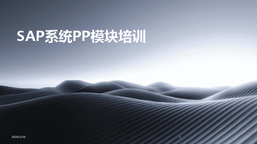 2024年SAP系统PP模块培训