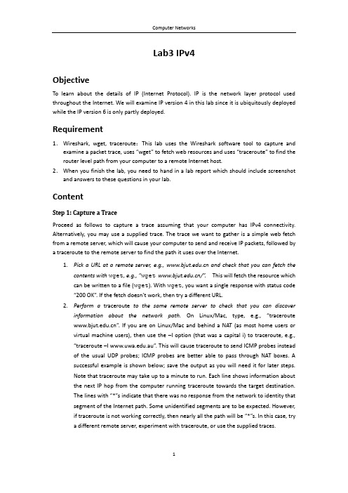 Lab3 IPv4