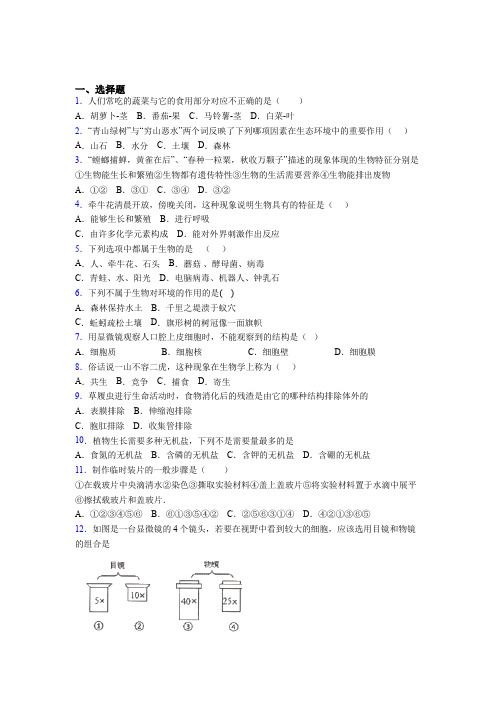 北京市海淀区2019年七上生物期末模拟质量跟踪监视试题之一