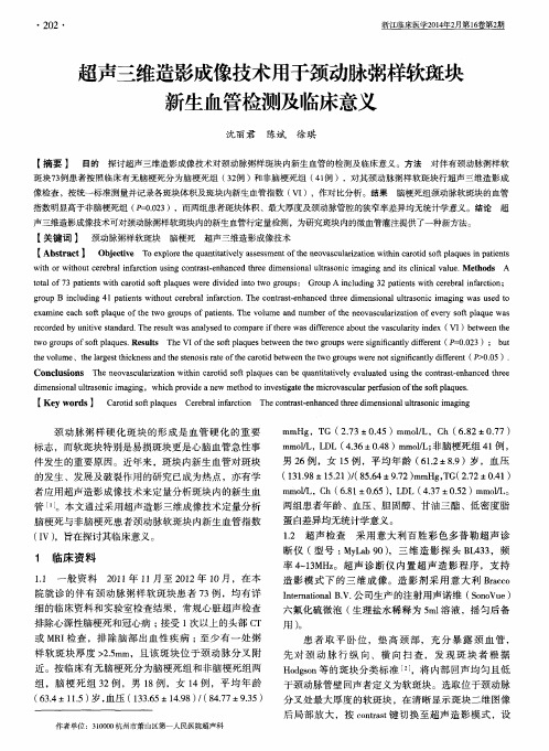 超声三维造影成像技术用于颈动脉粥样软斑块新生血管检测及临床意义