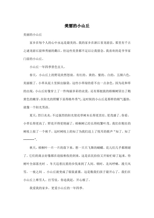 美丽的小山丘_小学三年级作文500字