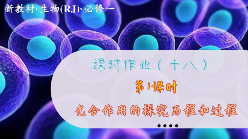 高中生物学必修1课时作业(十八)