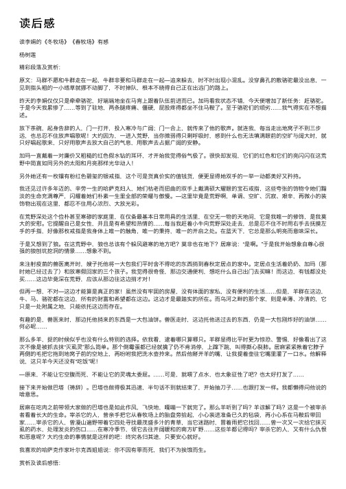 读后感——精选推荐