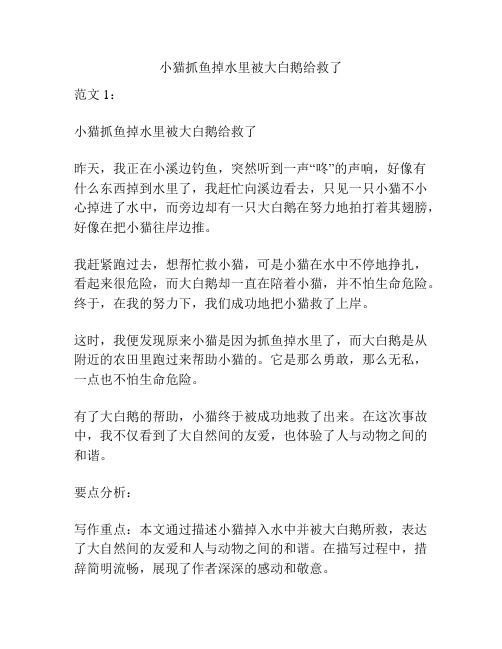 小猫抓鱼掉水里被大白鹅给救了