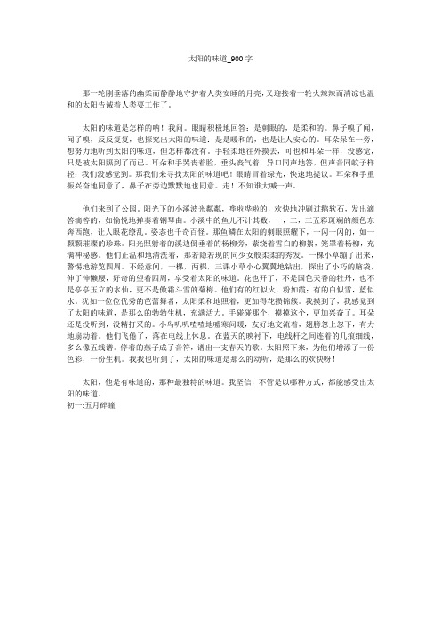 太阳的味道(900字作文)