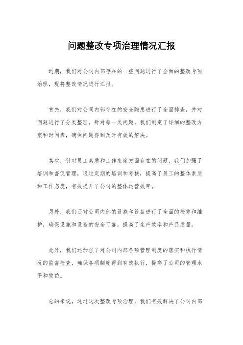 问题整改专项治理情况汇报