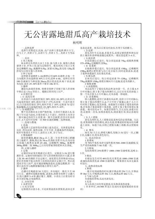 无公害露地甜瓜高产栽培技术