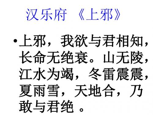 高三语文抄检大观园(新编2019教材)