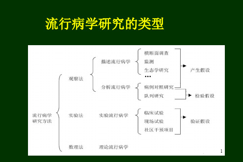 现况研究ppt课件