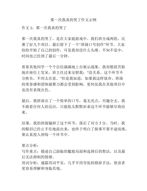 那一次我真的哭了作文示例