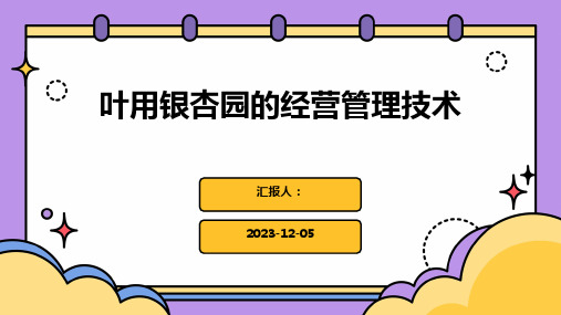 叶用银杏园的经营管理技术