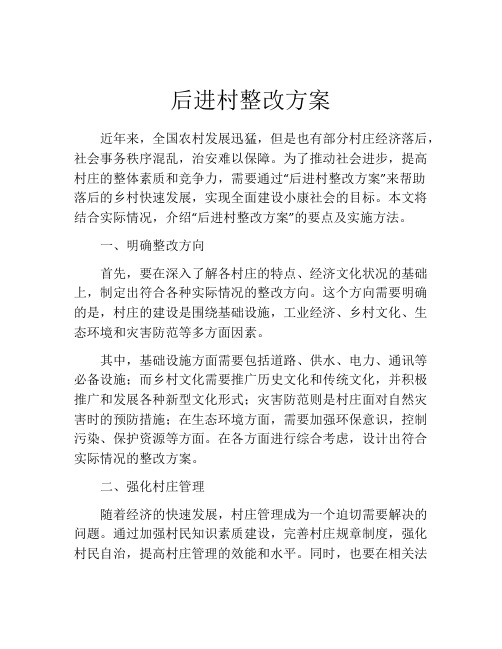 后进村整改方案