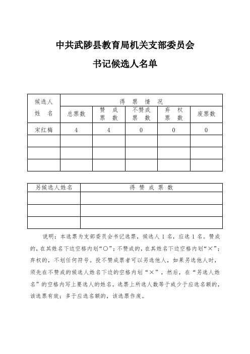 3、支部书记选票