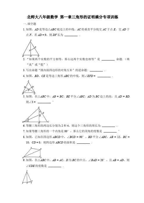 2020-2021学年八年级数学北师大版下册第一章三角形的证明 满分专项训练