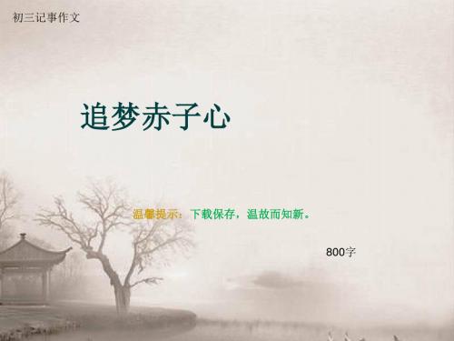 初三记事作文《追梦赤子心》800字(总9页PPT)