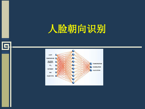 人脸朝向识别