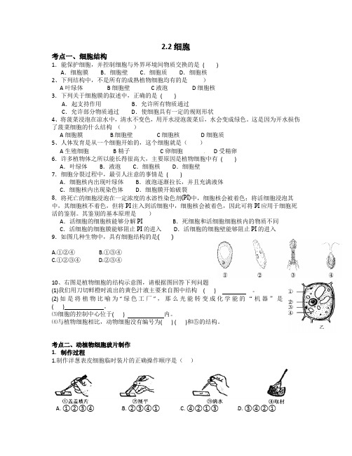 七年级上册科学第二单元第二课细胞精讲(无答案)