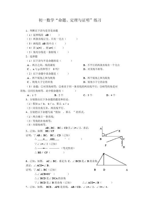 华师大七年级上命题、定理与证明练习初一数学