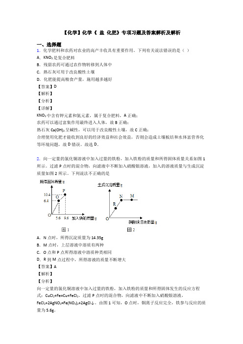 【化学】化学《 盐 化肥》专项习题及答案解析及解析