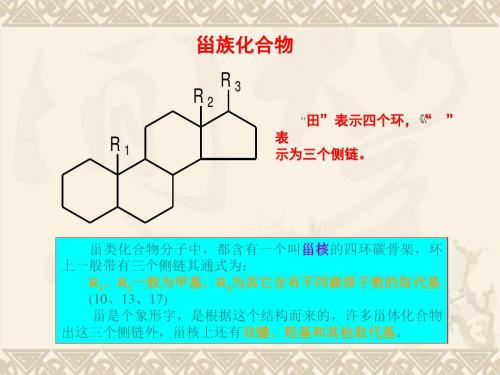 甾类化合物分子-精品文档