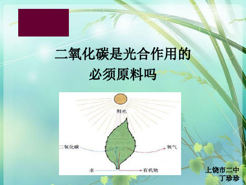 初中生物创新实验说课 PPT课件 图文