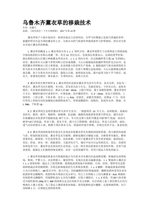 乌鲁木齐薰衣草的移栽技术