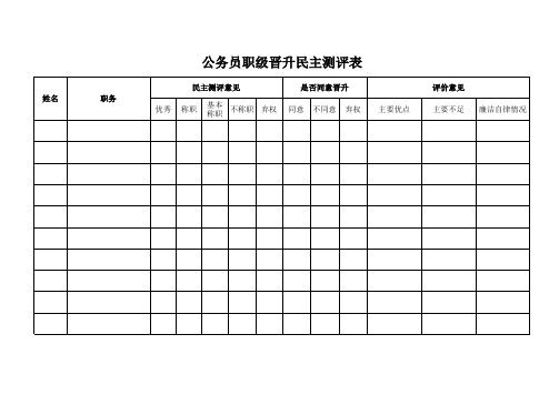 公务员职级晋升民主测评表