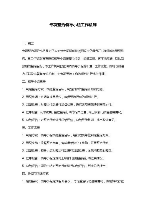 专项整治领导小组工作机制