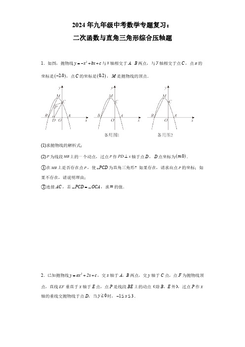 2024年九年级中考数学专题复习： 二次函数与直角三角形综合压轴题(含答案)