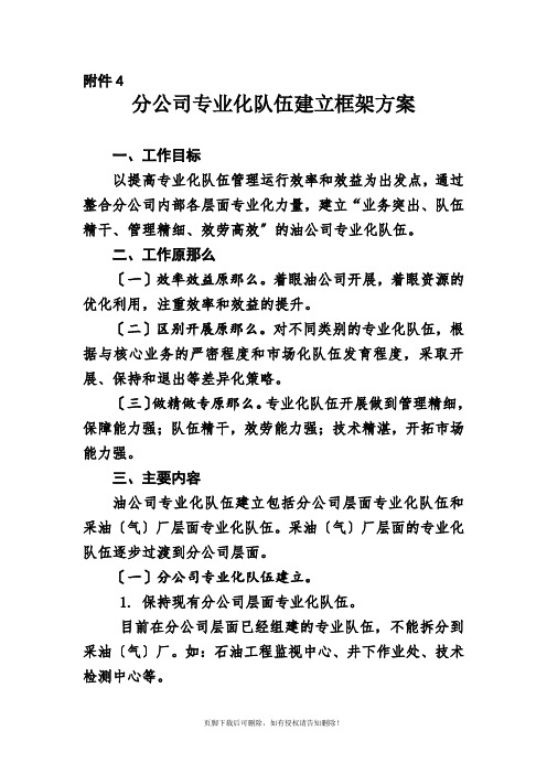 分公司专业化队伍建设框架方案