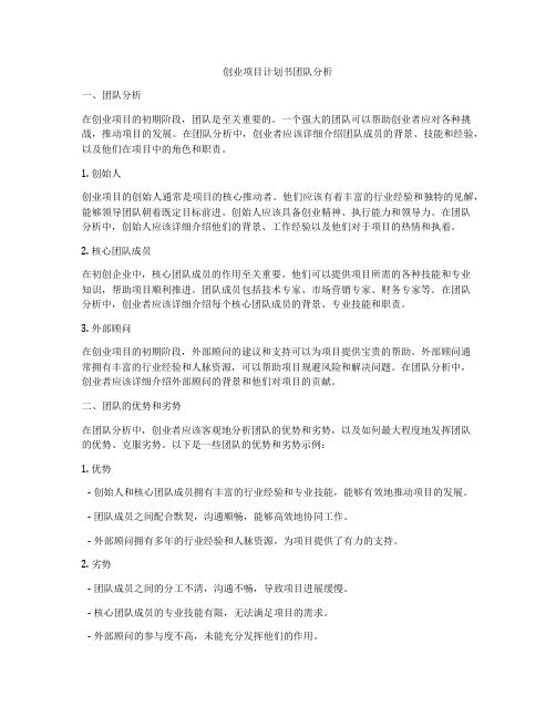 创业项目计划书团队分析