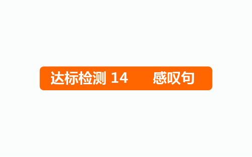 六年级下册英语课件小升初达标检测14感叹句全国通用(共12张PPT(完整版)3