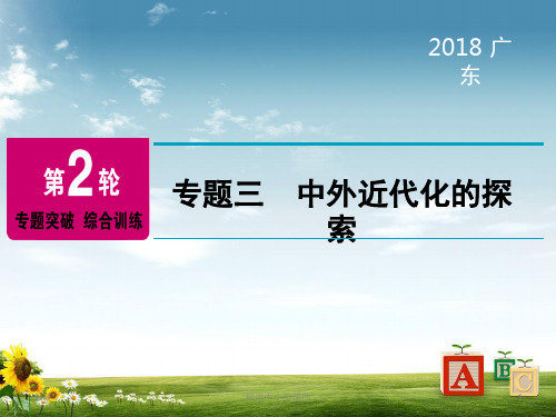 精选-中考历史总复习第2轮专题突破综合训练专题三中外近代化的探索课件