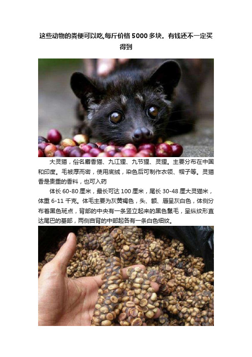 这些动物的粪便可以吃,每斤价格5000多块。有钱还不一定买得到