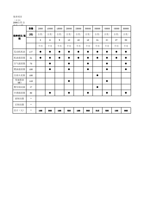 雨燕保养表