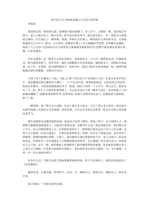 初中语文-中考阅读真题——石崖上的枣树