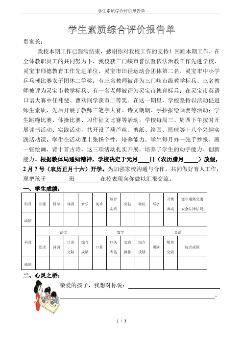 学生素质综合评价报告单