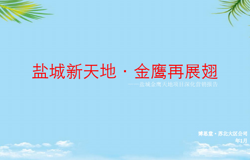 盐城新天地 金鹰再展翅 ----盐城金鹰天地项目深化营销报告PPT资料全面版