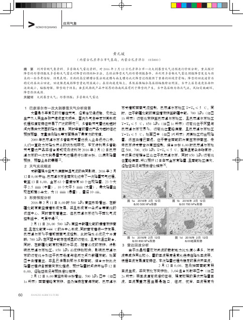 巴彦淖尔市一次大到暴雪天气过程的诊断分析