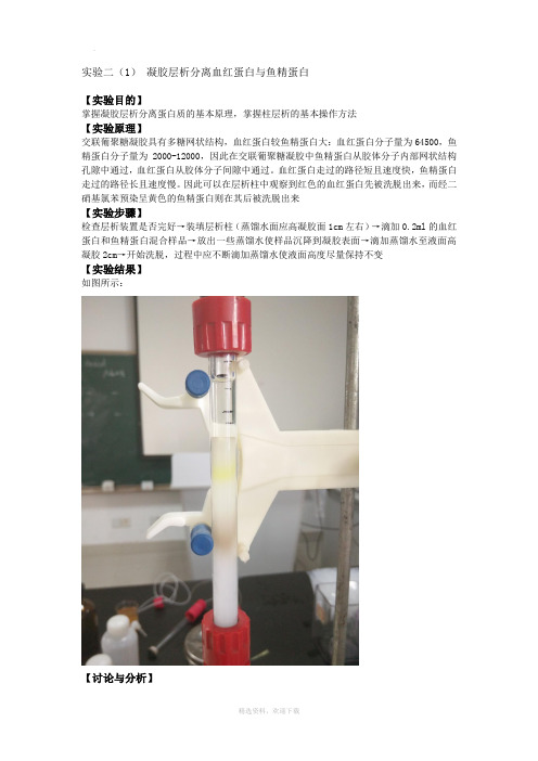 生物化学实验 层析法实验