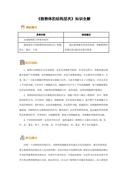 人教版七年级生物上册《植物体的结构层次》知识全解