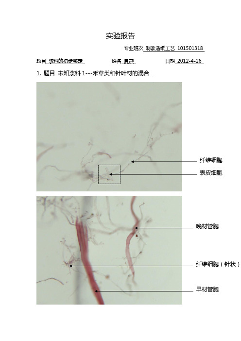 植物纤维实验报告3