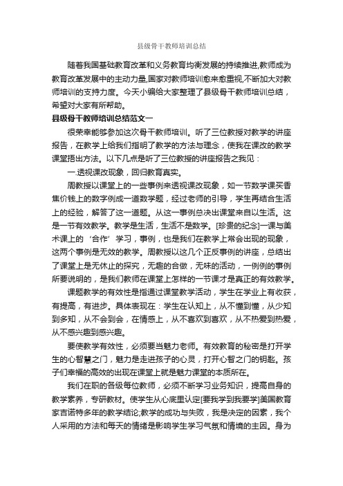 县级骨干教师培训总结_教师工作总结_