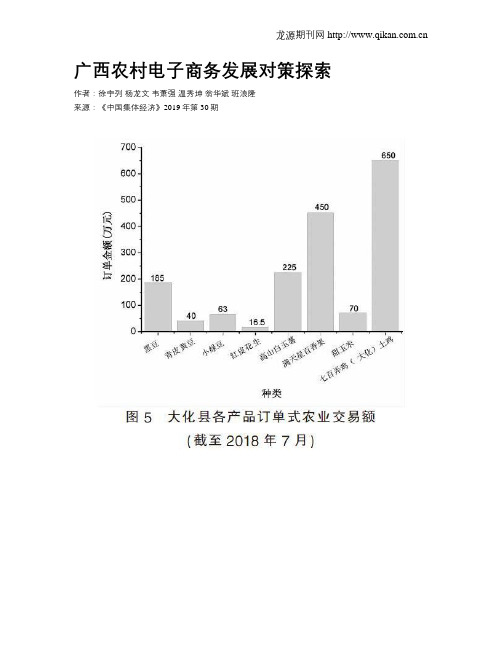 广西农村电子商务发展对策探索