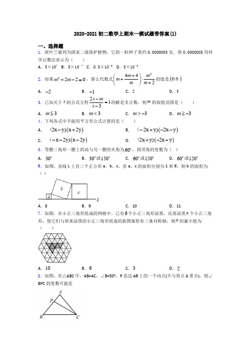 2020-2021初二数学上期末一模试题带答案(1)