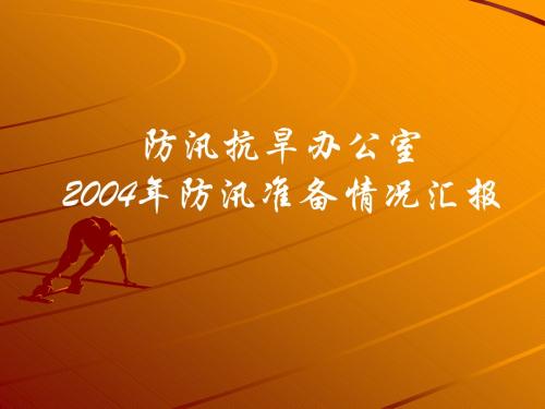 2004年防汛准备情况汇报