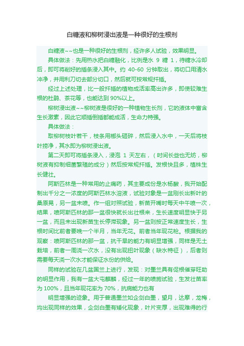 白糖液和柳树浸出液是一种很好的生根剂